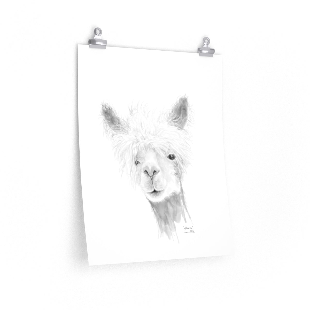 ALLISON Llama- Art Paper Print