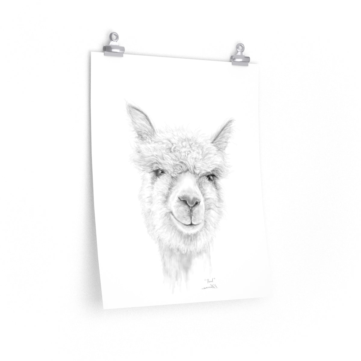 PAUL Llama- Art Paper Print