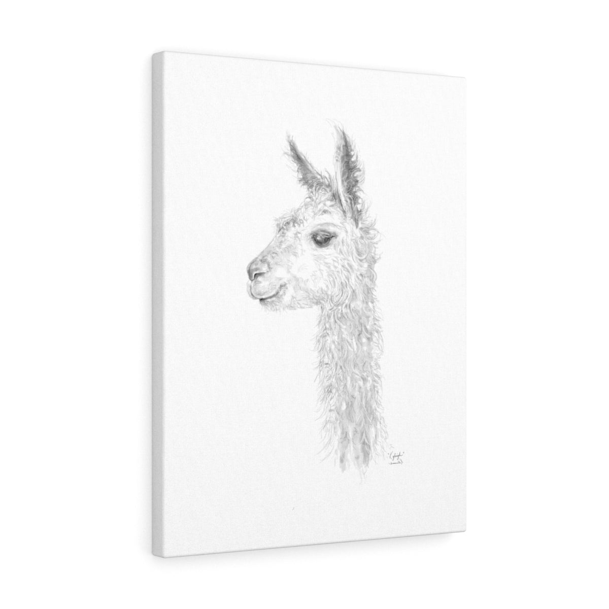 KYLEIGH Llama - Art Canvas