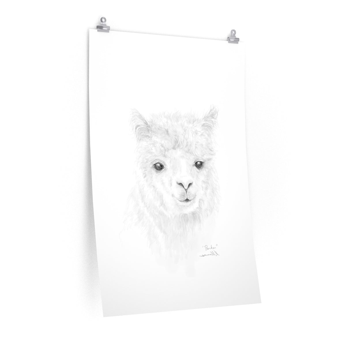 PARKER Llama- Art Paper Print