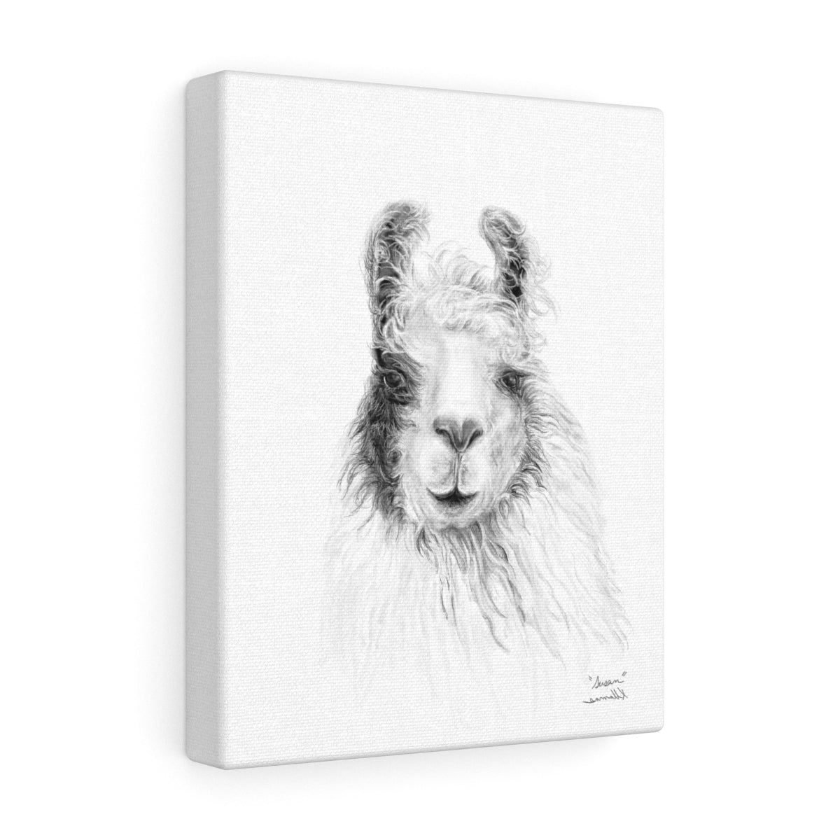 SUSAN Llama - Art Canvas