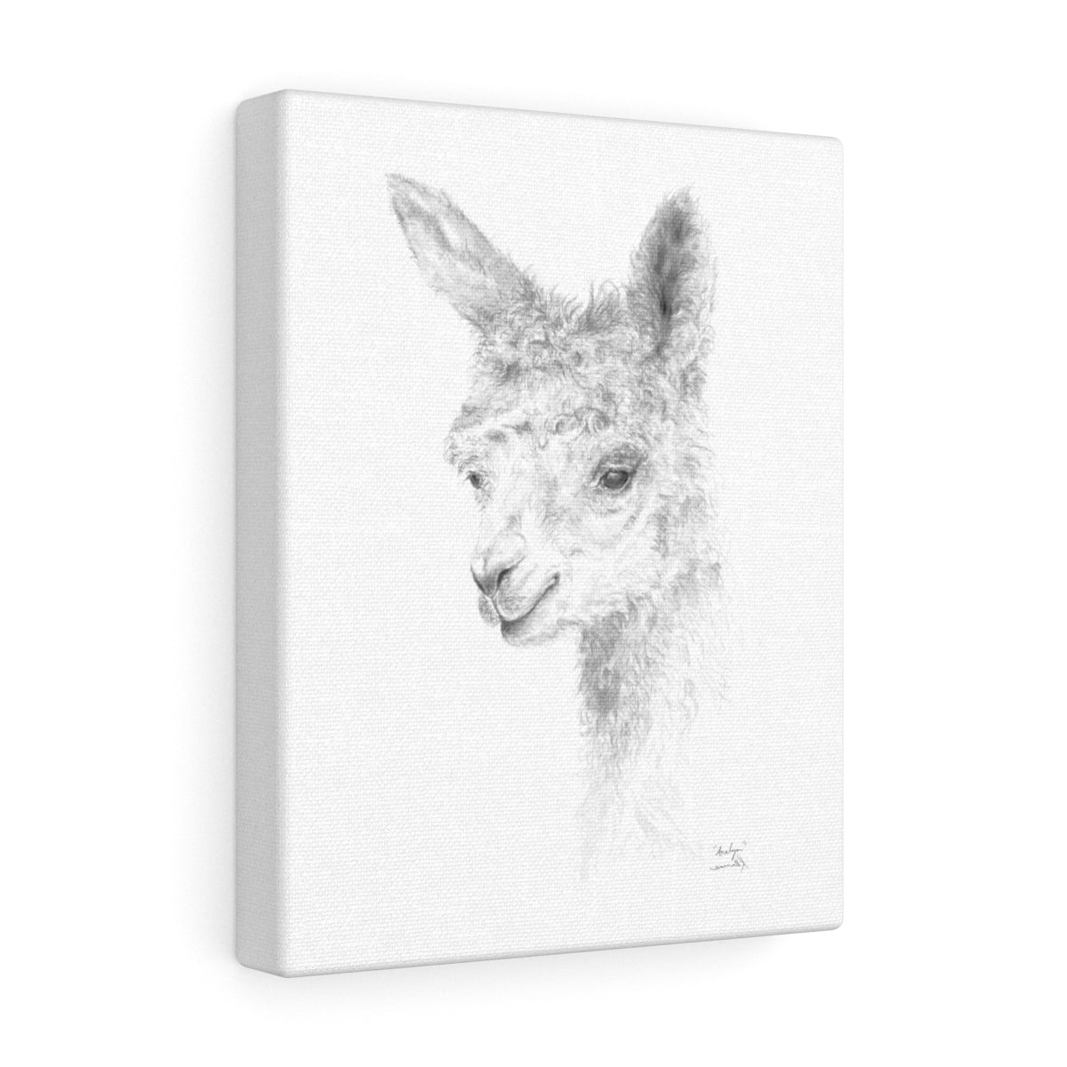ANALYN Llama- Art Canvas
