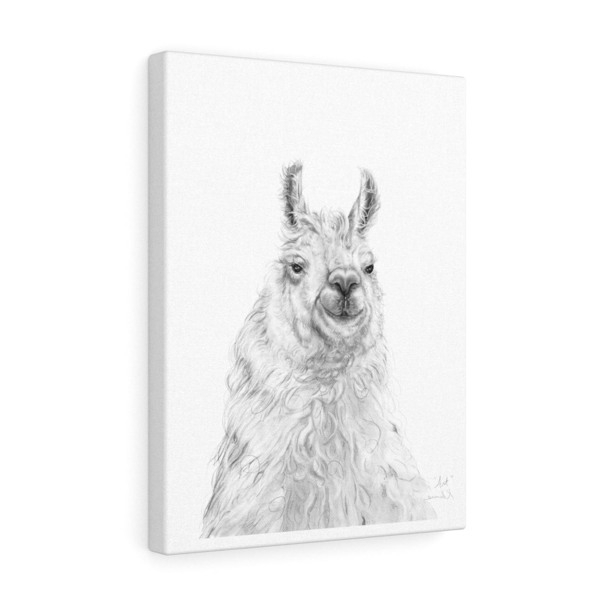 ART Llama - Art Canvas