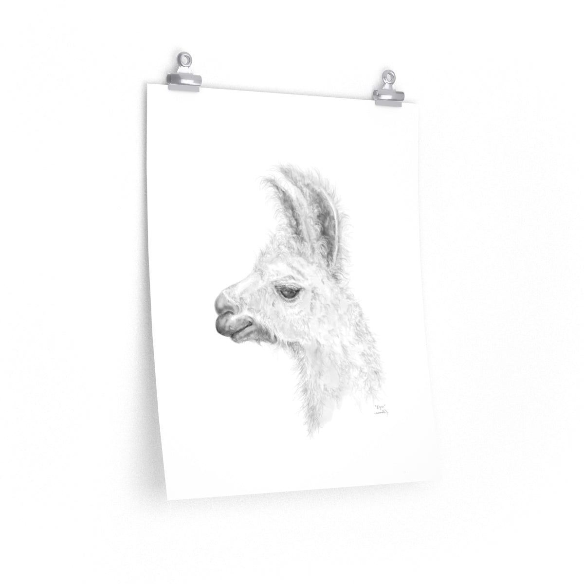 EZRA Llama- Art Paper Print