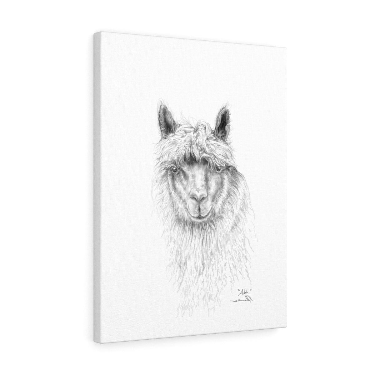 ADDI Llama- Art Canvas
