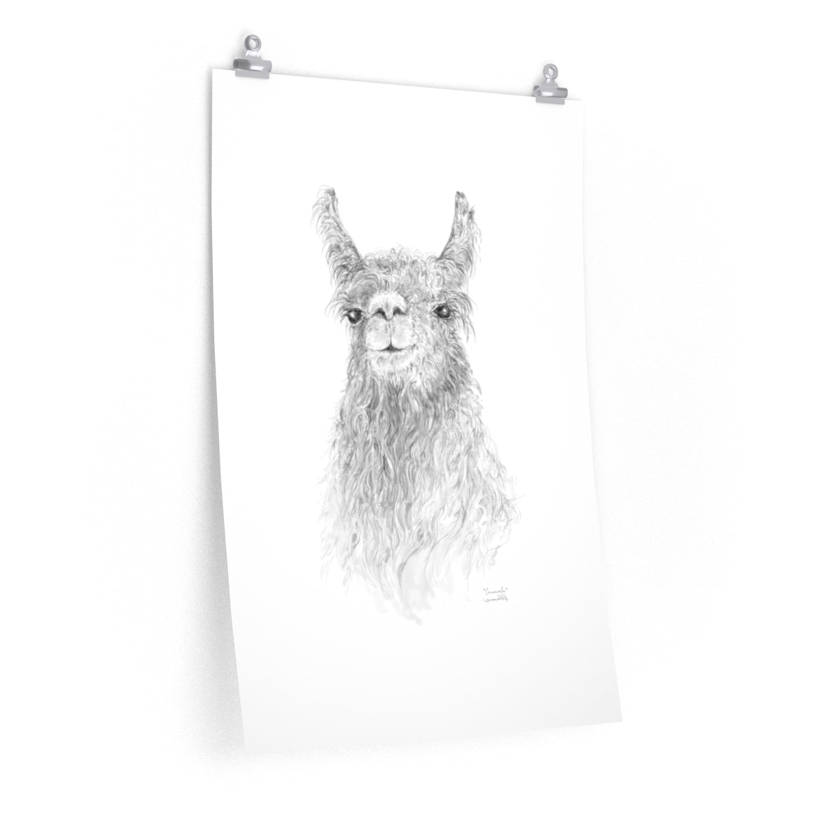 CONSWALA Llama- Art Paper Print