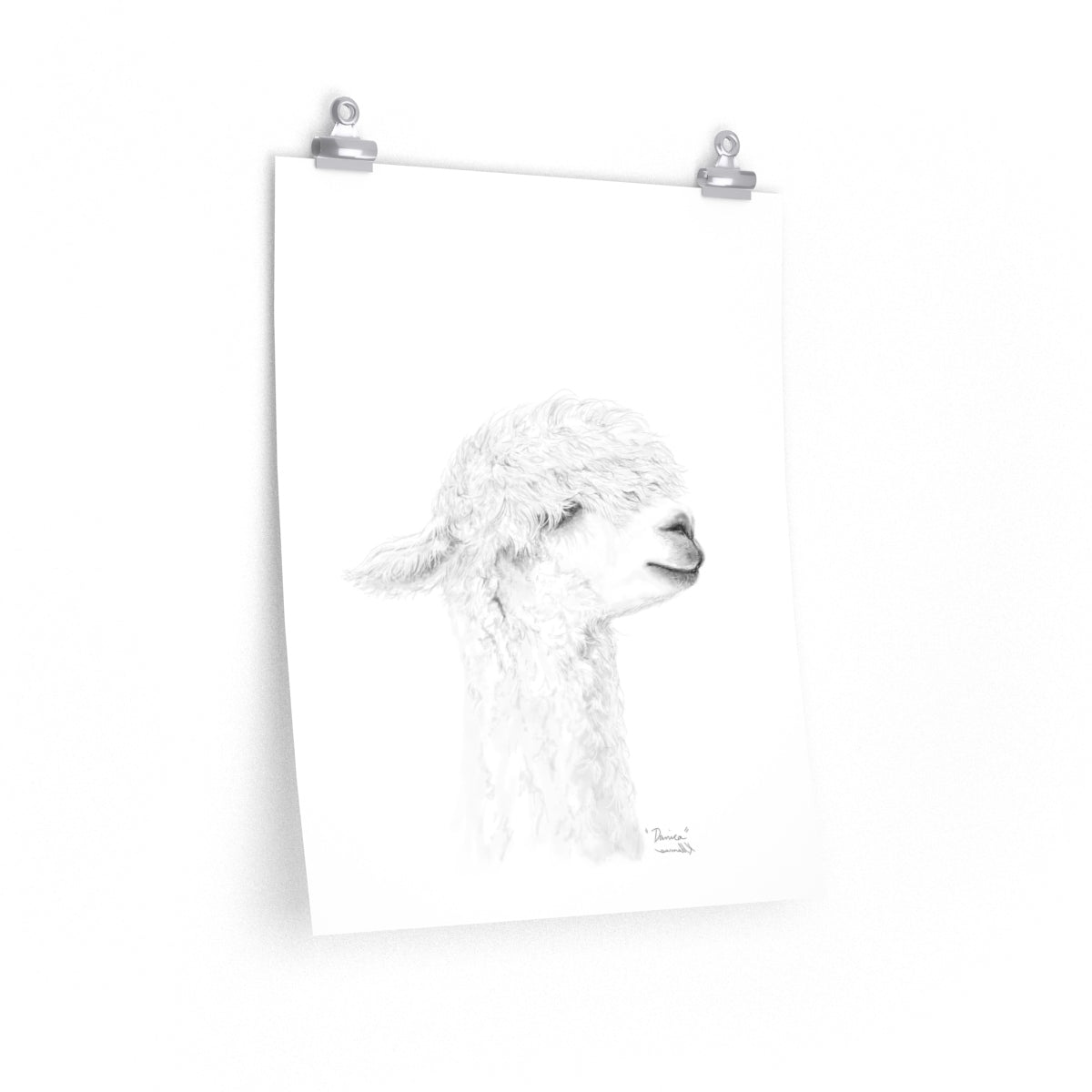 DANICA Llama- Art Paper Print