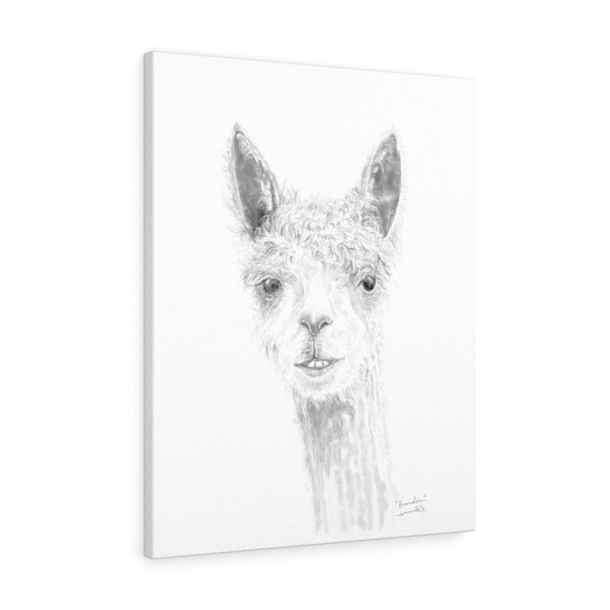BRANDON Llama- Art Canvas