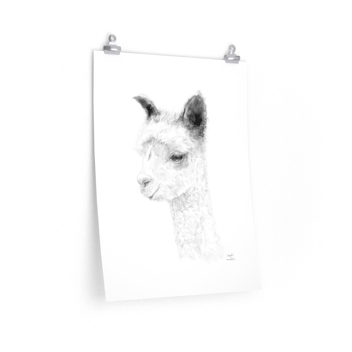 ANGELA Llama- Art Paper Print
