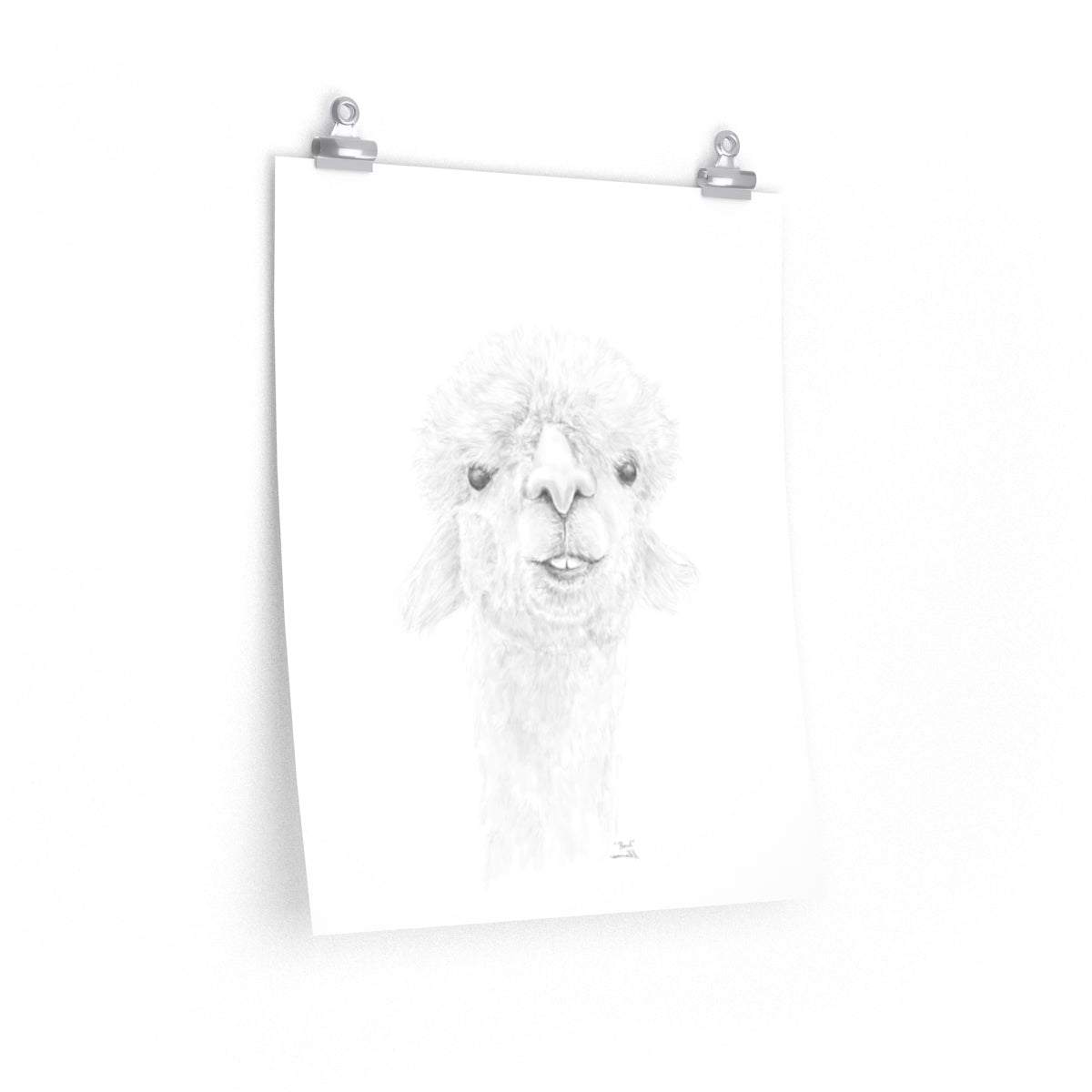 PEARL Llama- Art Paper Print