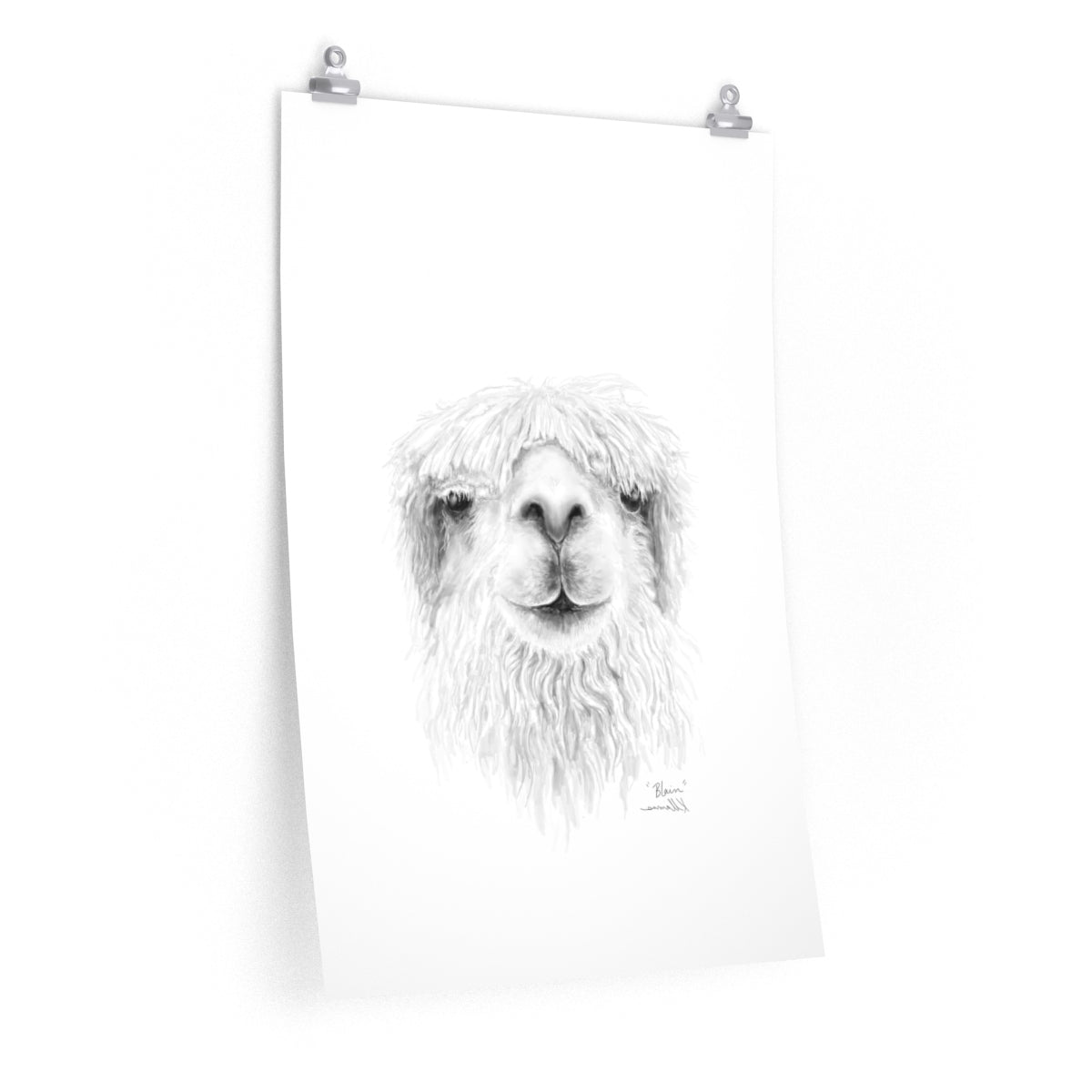 BLAIN Llama- Art Paper Print