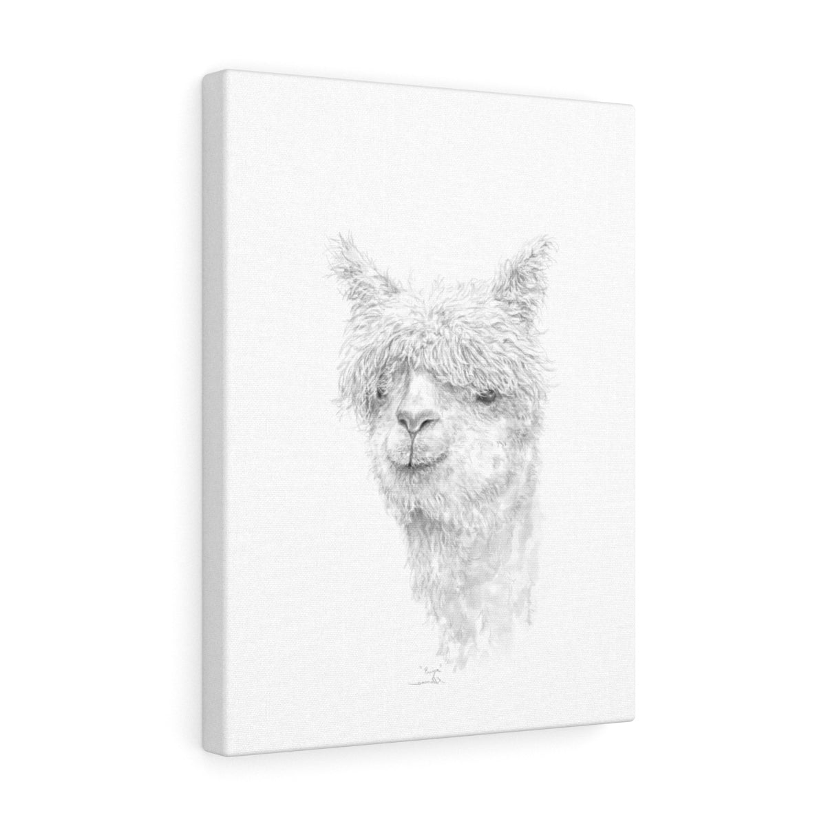 PRIYA Llama - Art Canvas