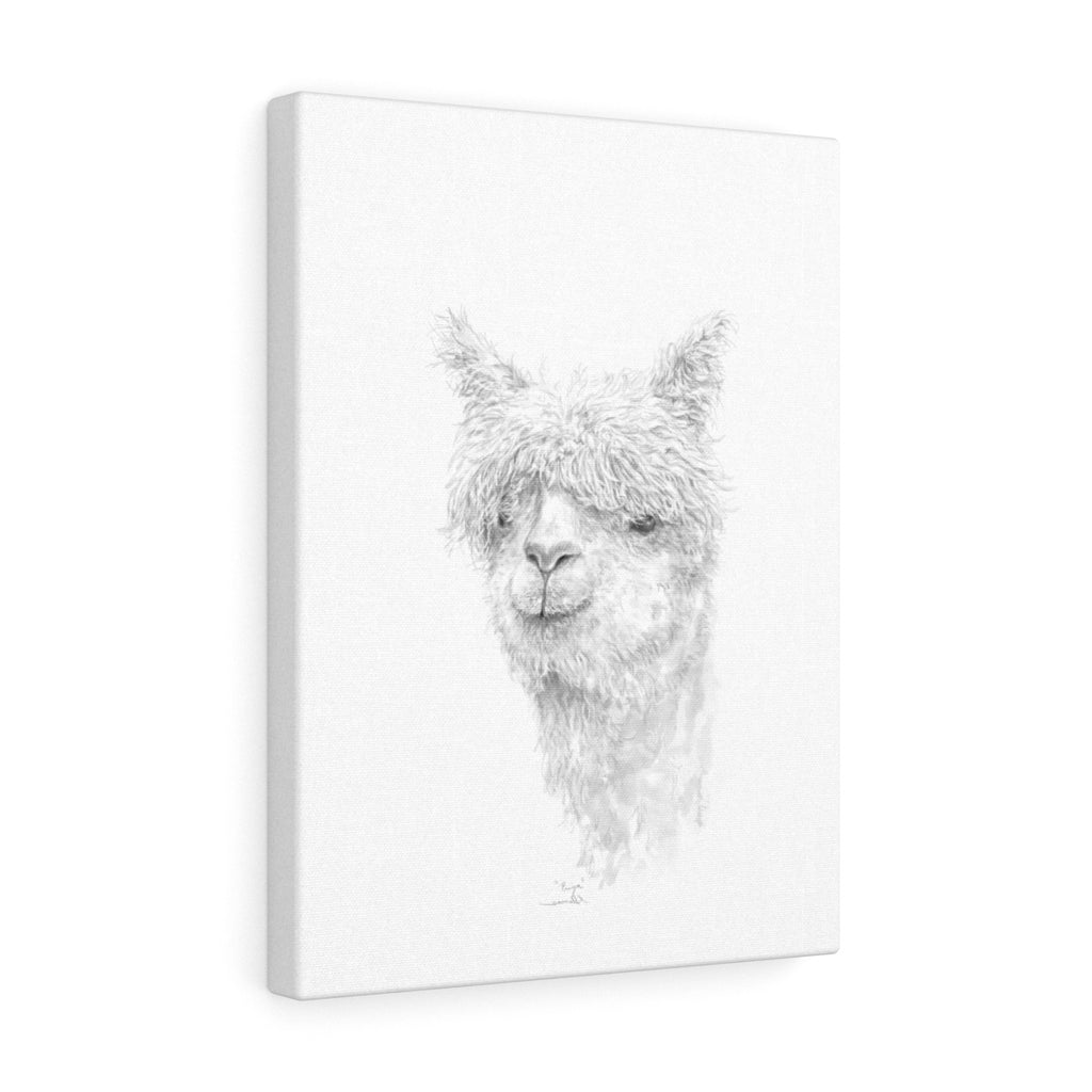 PRIYA Llama - Art Canvas