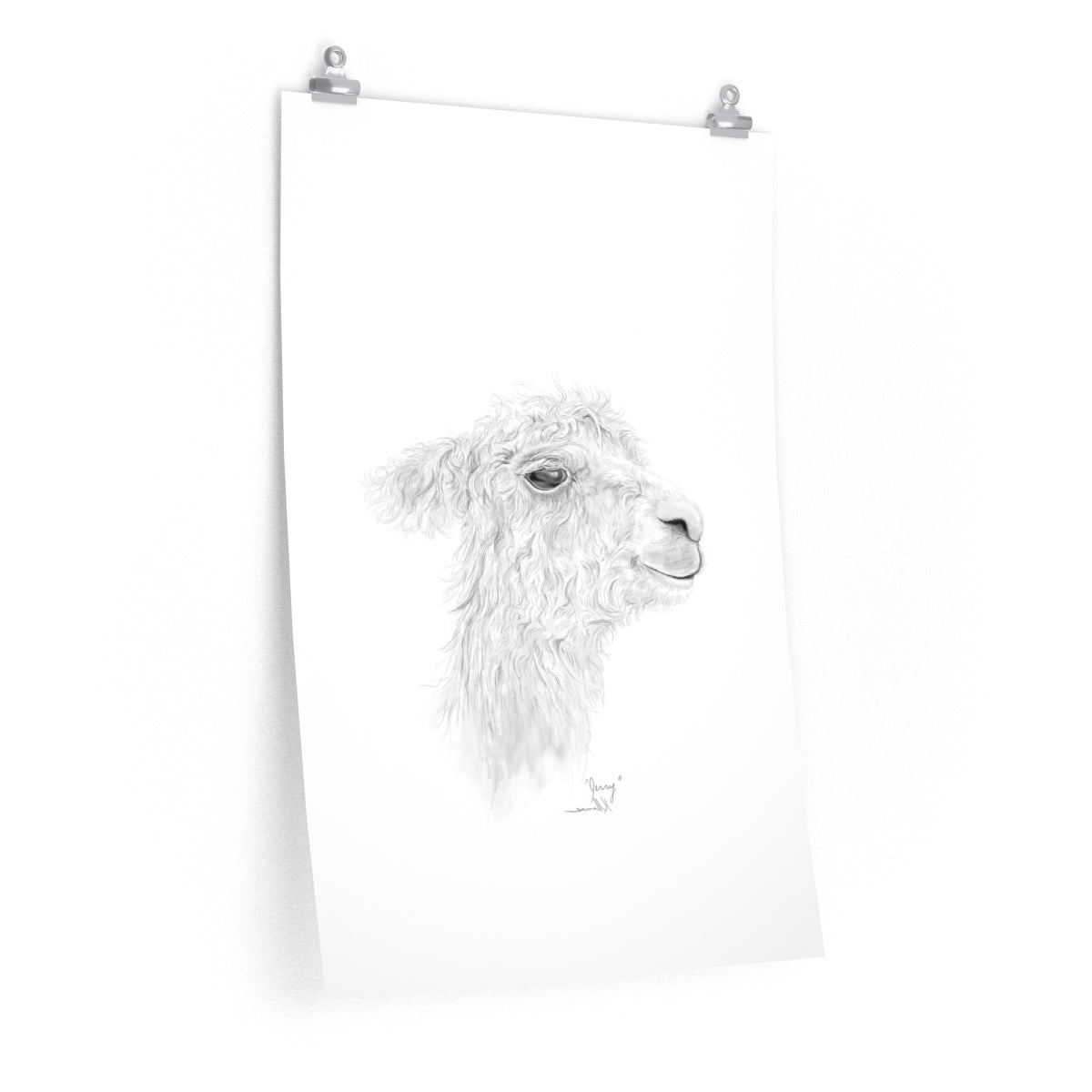 JERRY Llama- Art Paper Print
