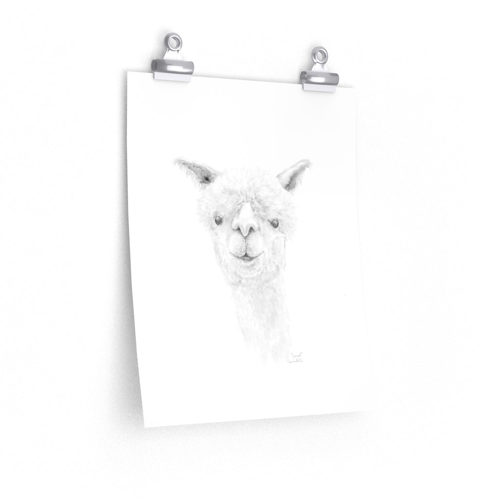 JJARED Llama- Art Paper Print