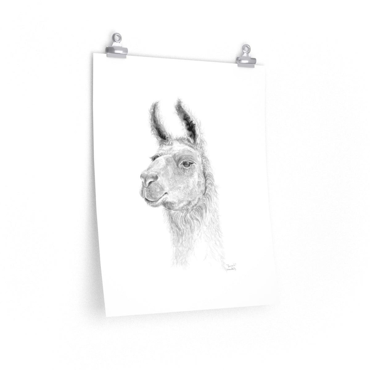 JAN CARLO Llama- Art Paper Print