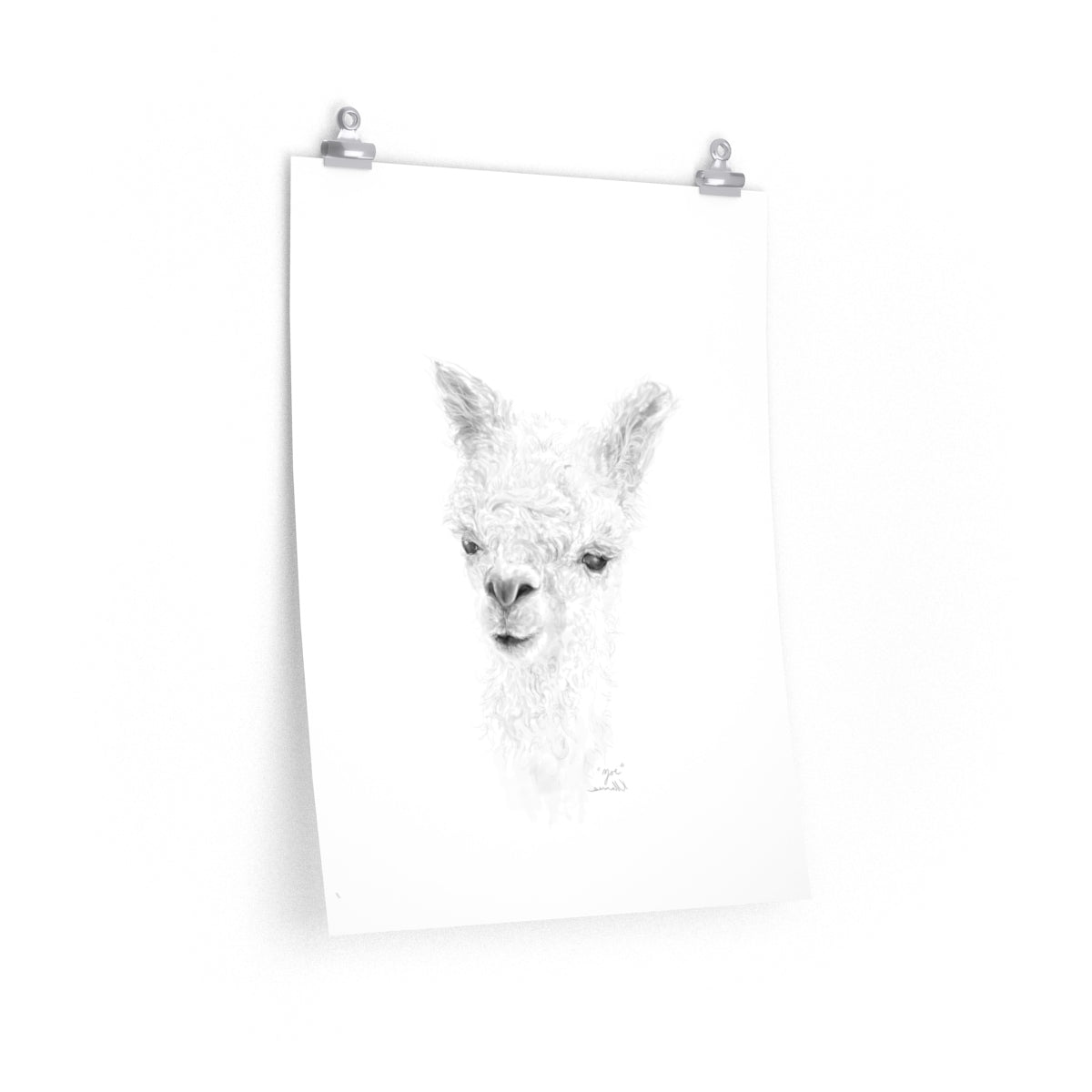 ZOE Llama- Art Paper Print