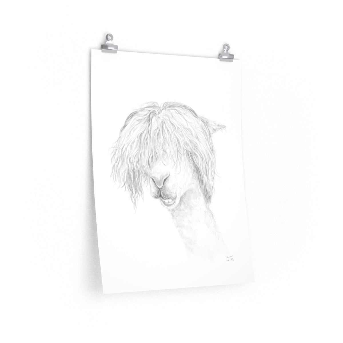 HARRISON Llama- Art Paper Print