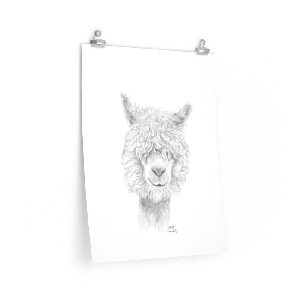 MATT Llama- Art Paper Print