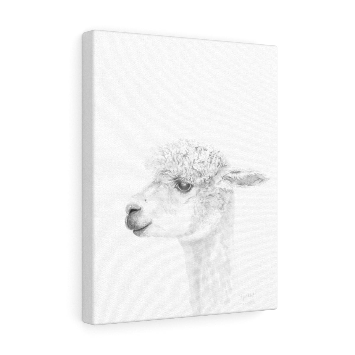 AYALKBET Llama - Art Canvas