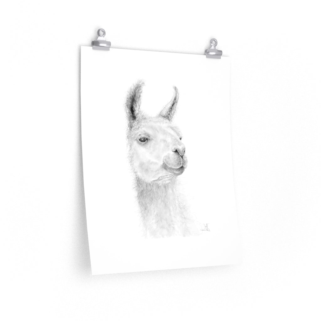 JEFF Llama- Art Paper Print