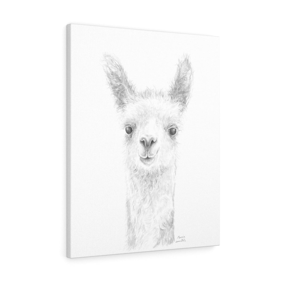 Copy of MARCIE Llama - Art Canvas