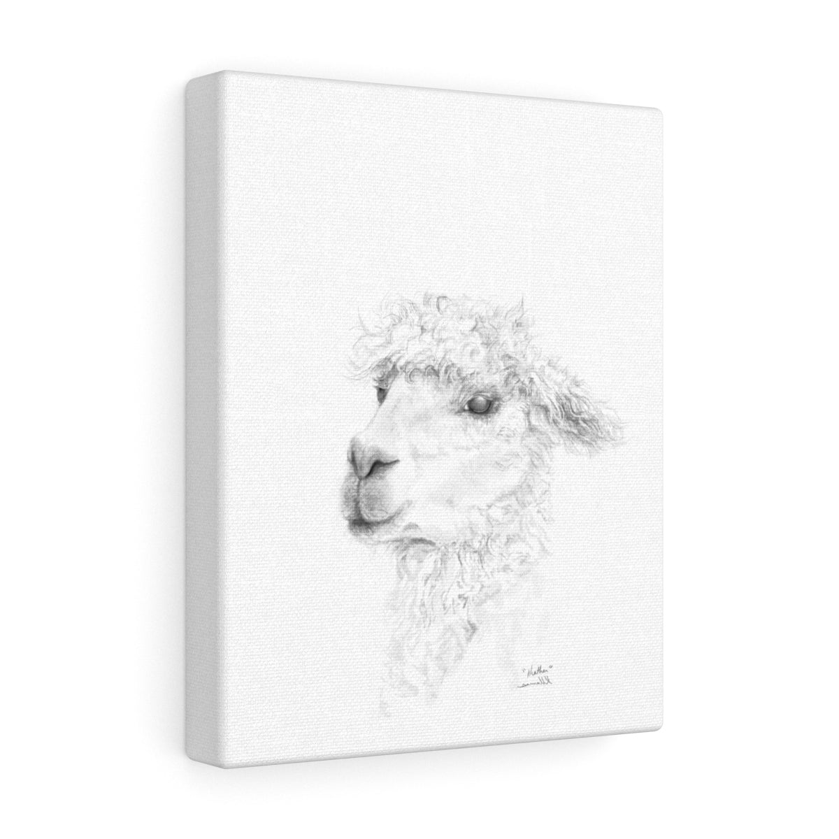 HEATHER Llama - Art Canvas
