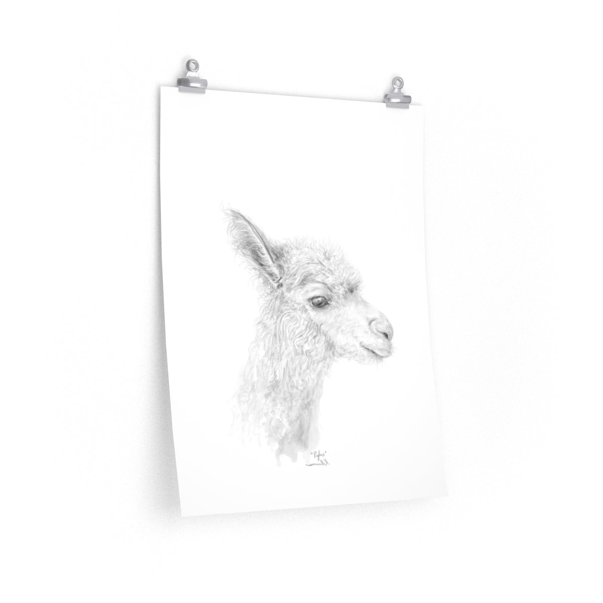 RUFUS Llama- Art Paper Print