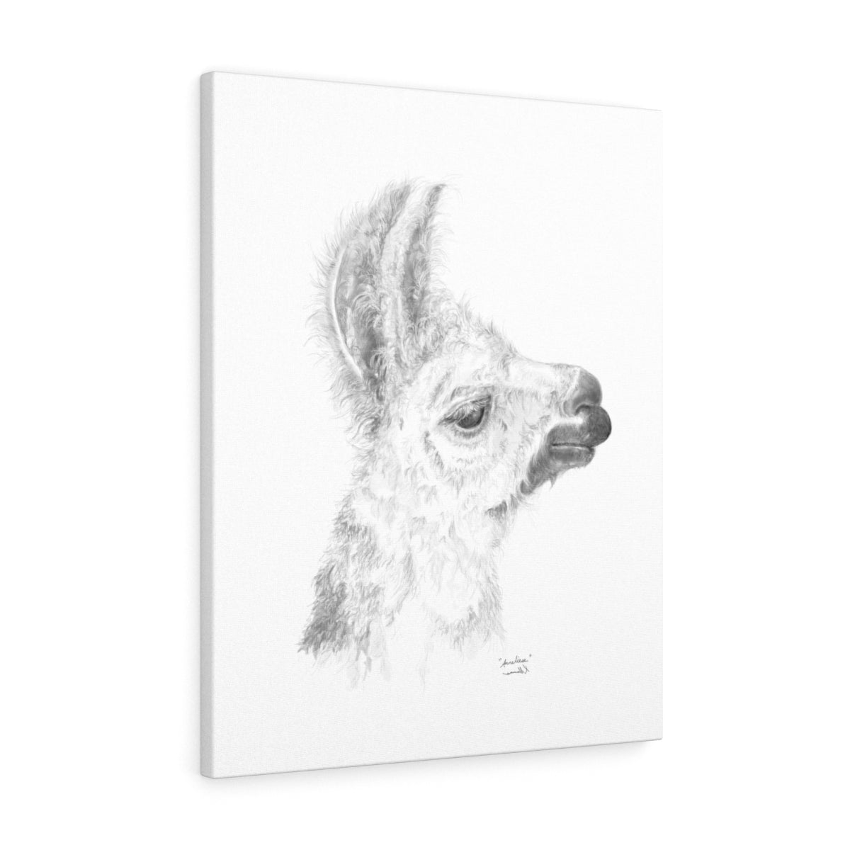 ANNELIESE Llama - Art Canvas