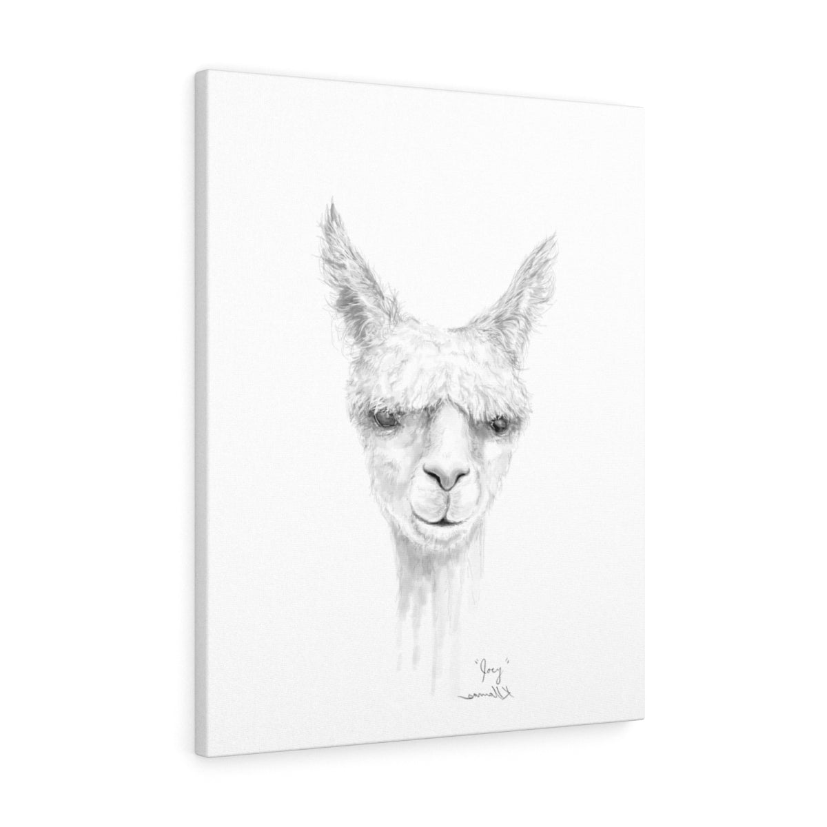 JOEY Llama - Art Canvas