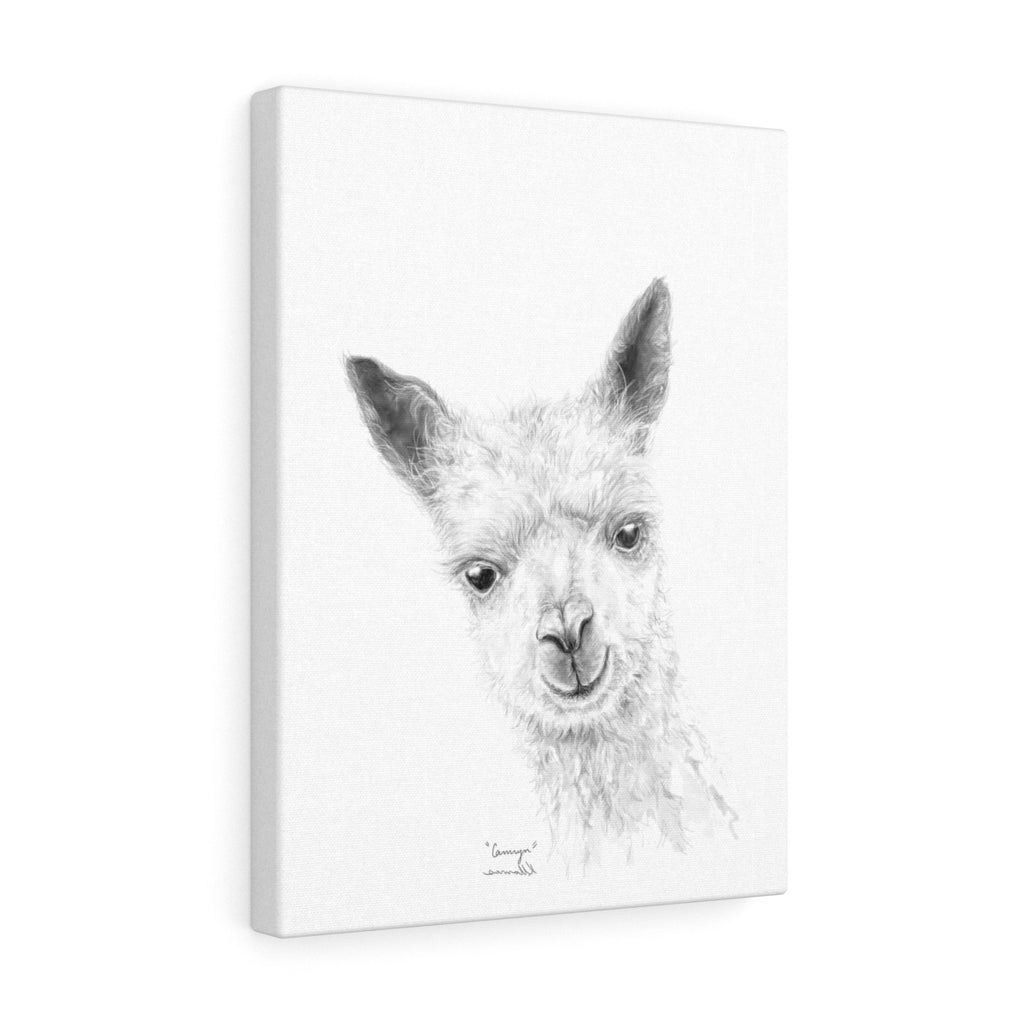 CAMRYN Llama - Art Canvas