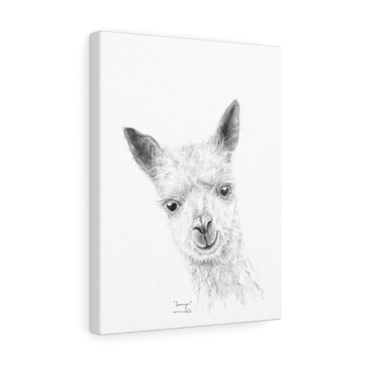 CAMRYN Llama - Art Canvas