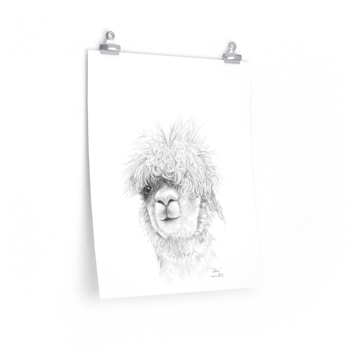 COLLEEN Llama- Art Paper Print