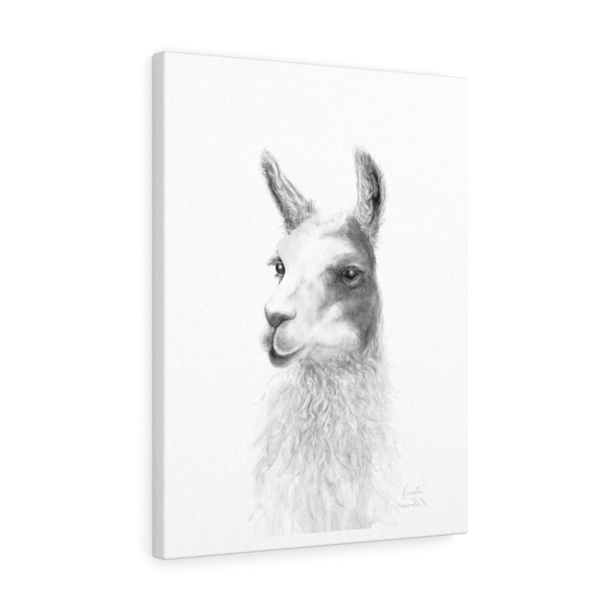 KRISTA Llama - Art Canvas