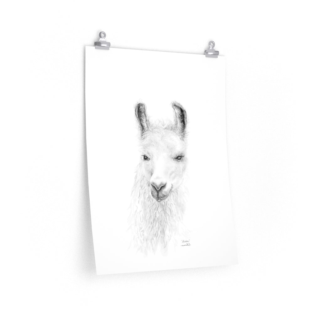 ALISHA Llama- Art Paper Print
