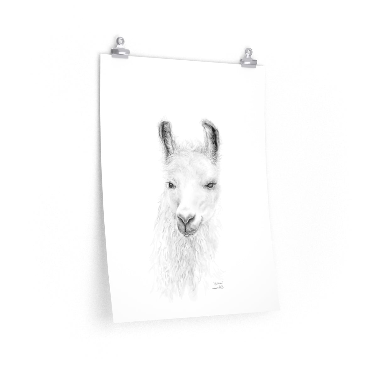 ALISHA Llama- Art Paper Print