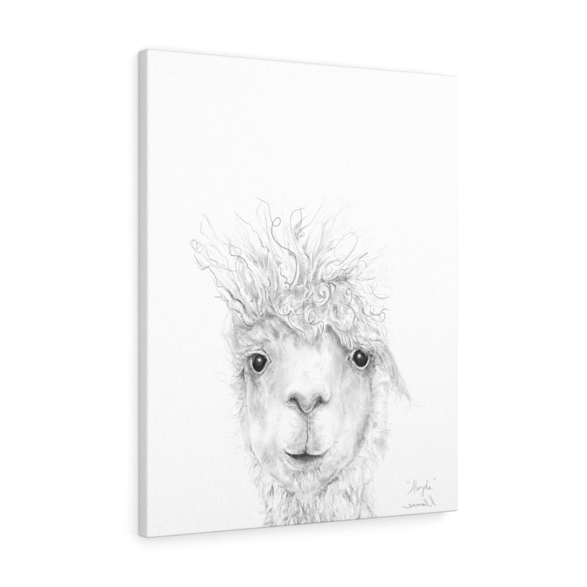ALEYDA Llama - Art Canvas