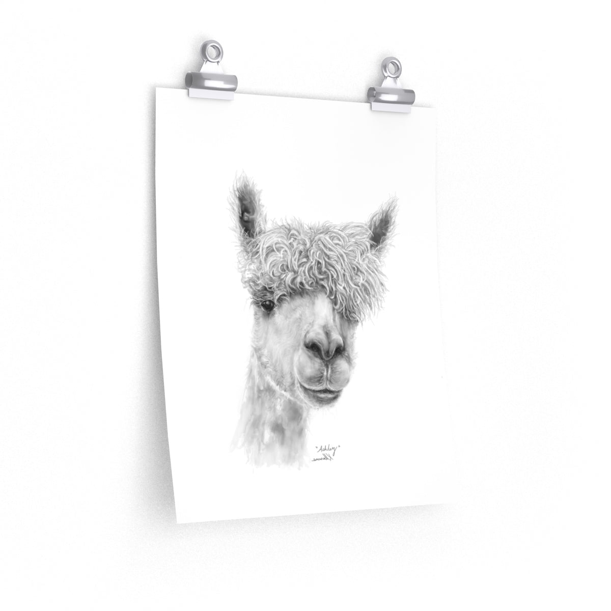 ASHLEY Llama - Art Paper Print