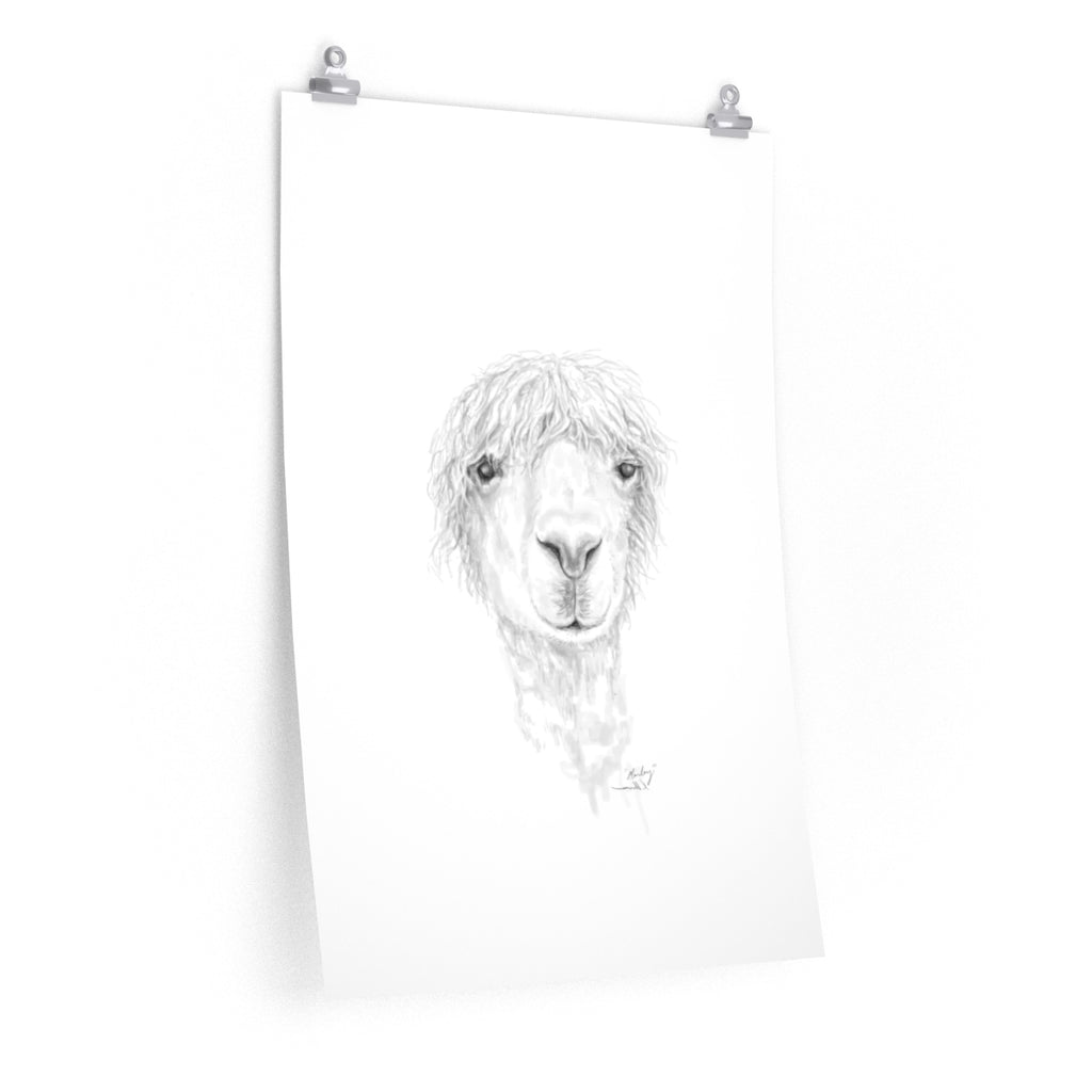 MARLEY Llama- Art Paper Print