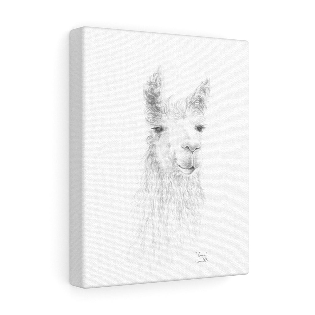 LAURA Llama - Art Canvas