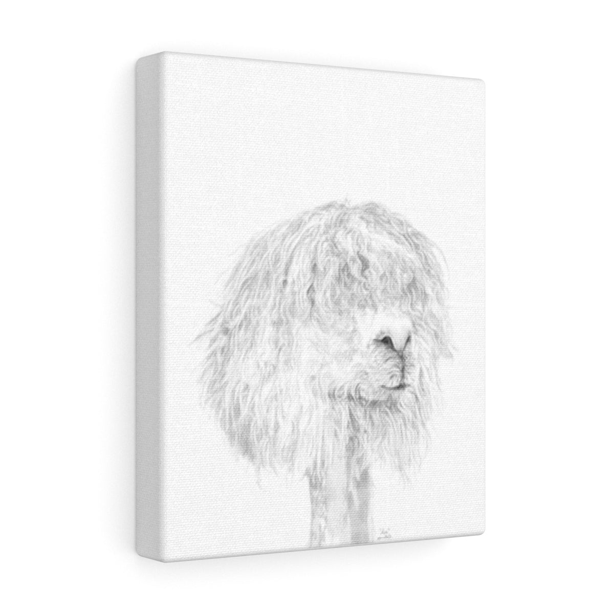 ASA Llama - Art Canvas