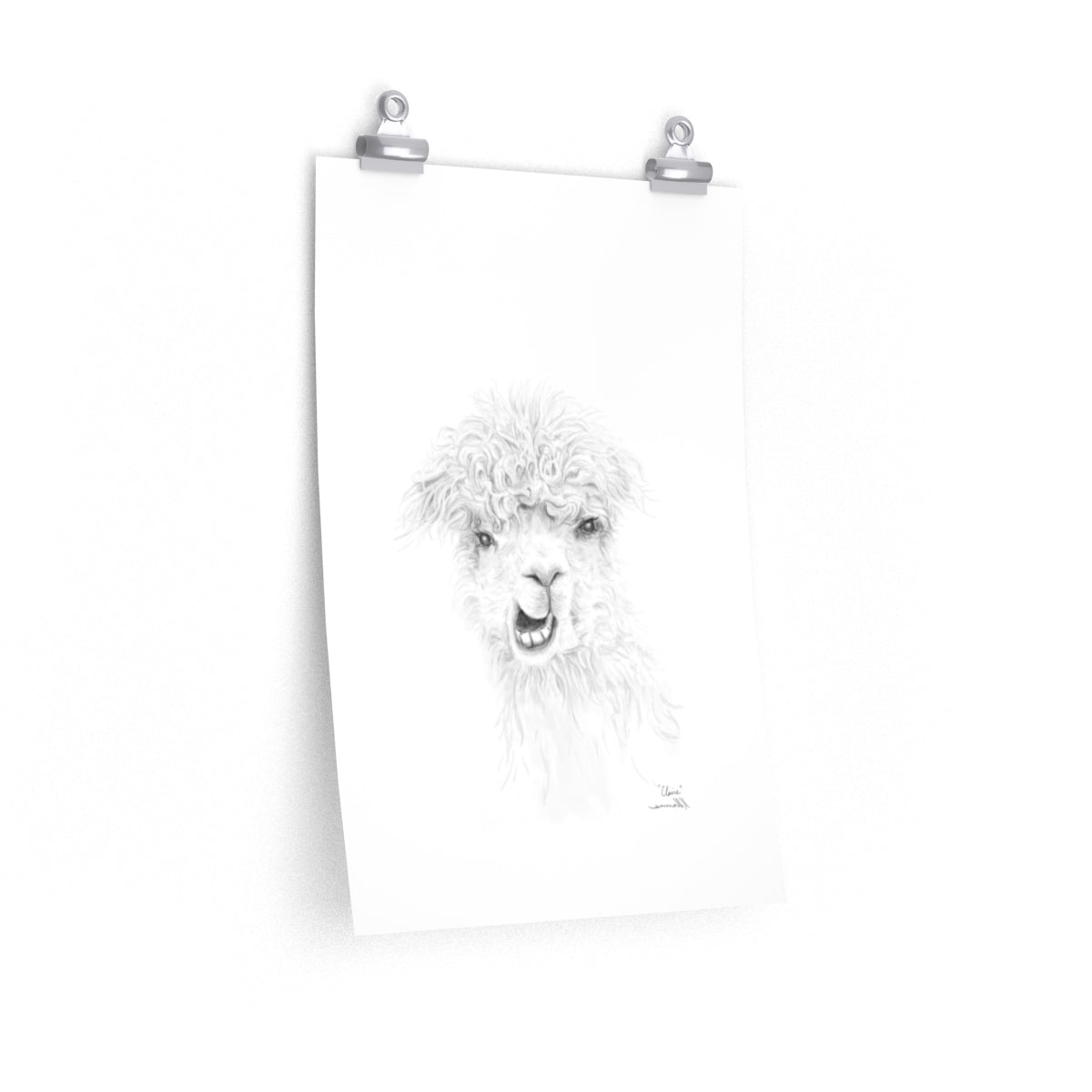 CLAIRE Llama- Art Paper Print