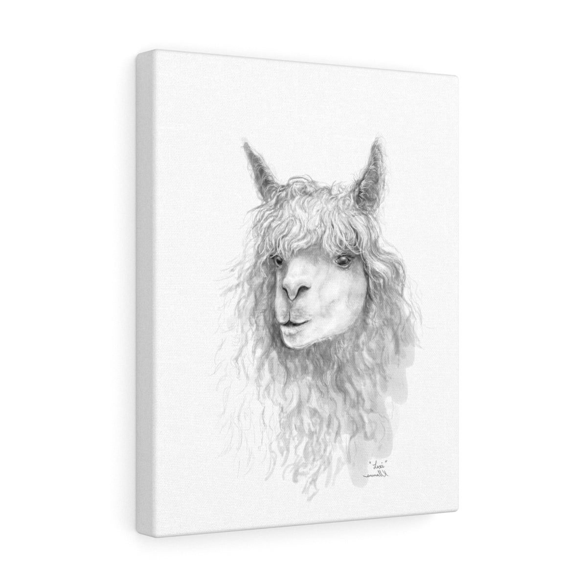 LEXI Llama - Art Canvas