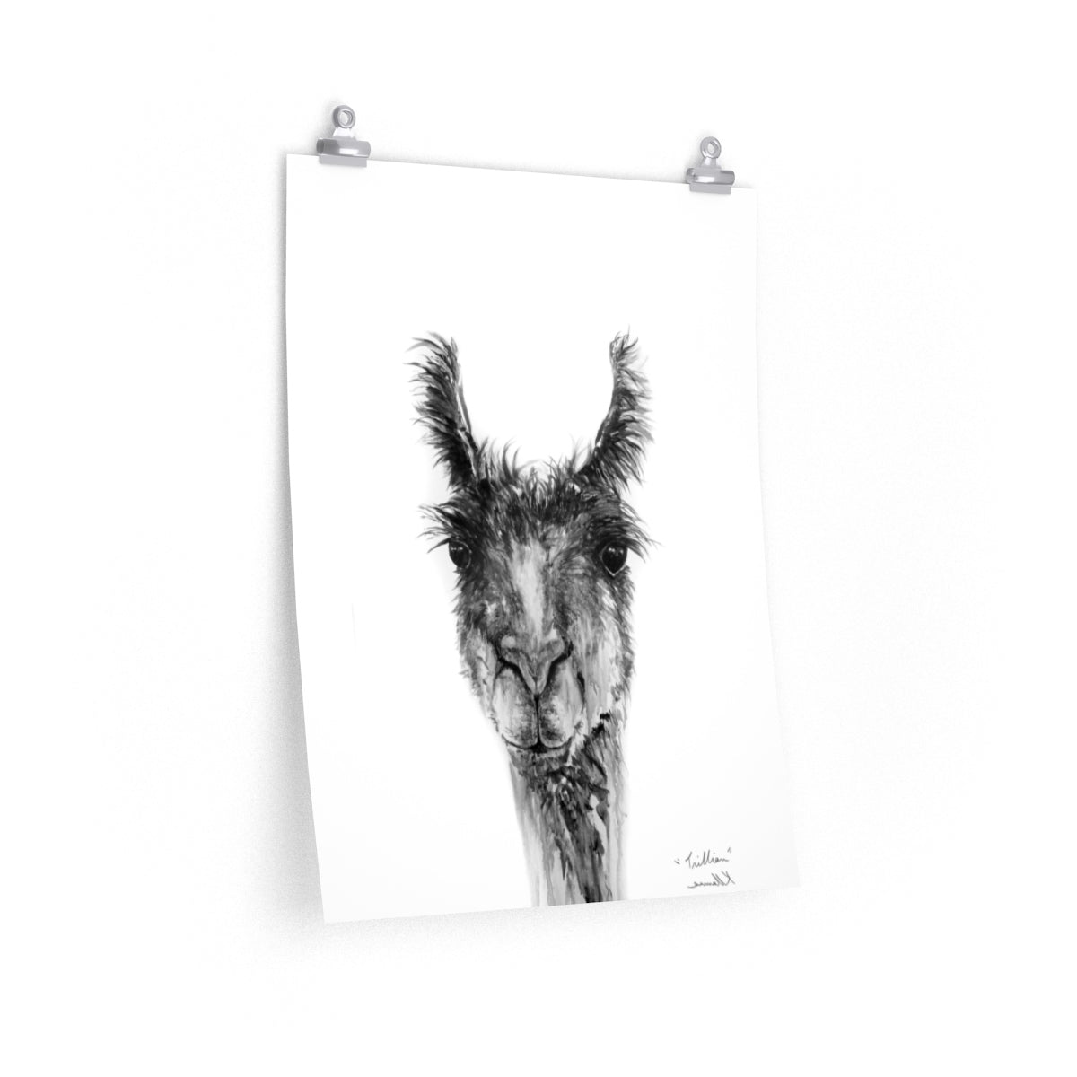 TRILLIAN Llama- Art Paper Print