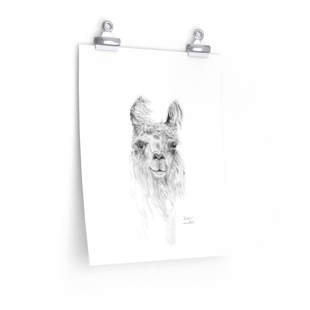 KRISTEN Llama- Art Paper Print
