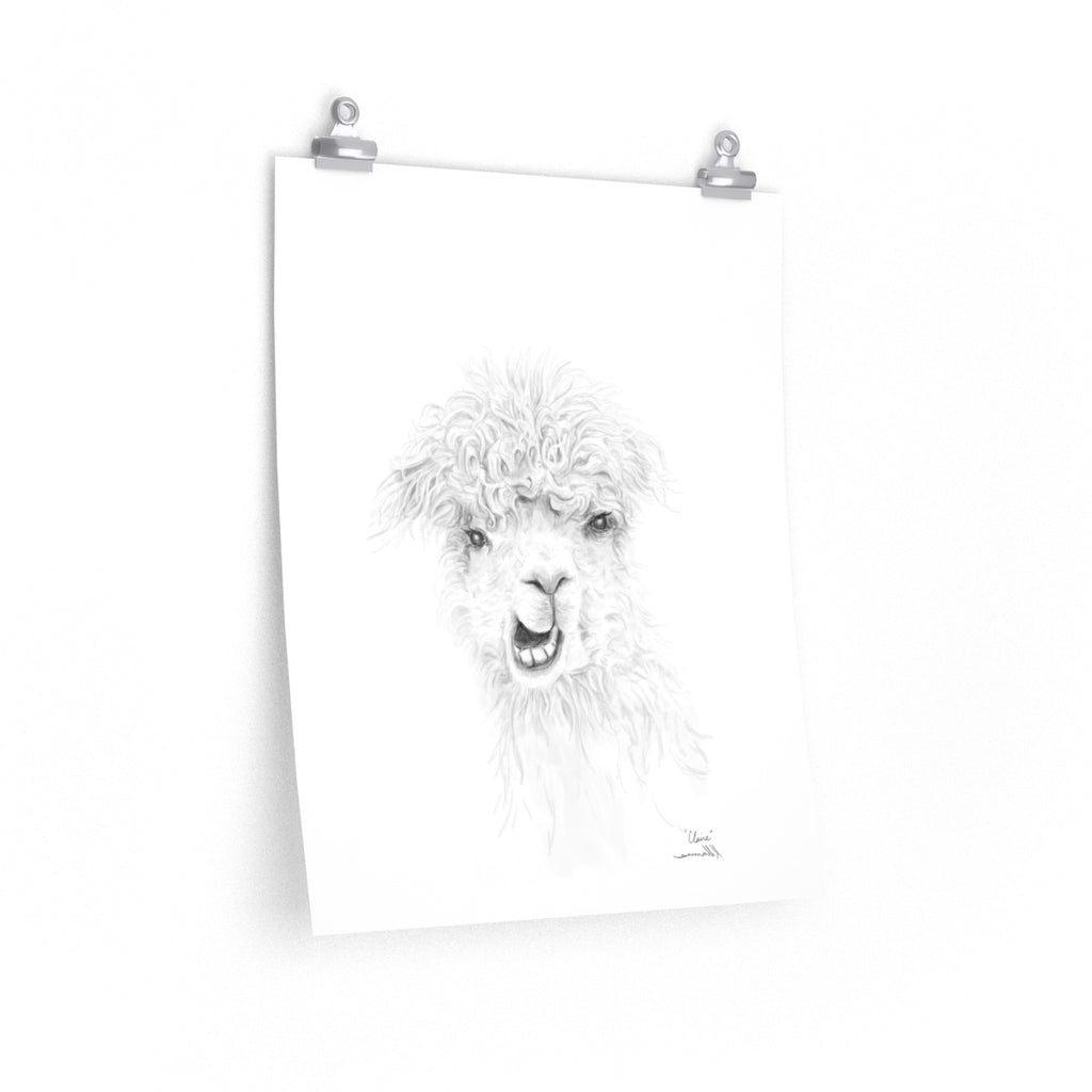 CLAIRE Llama- Art Paper Print