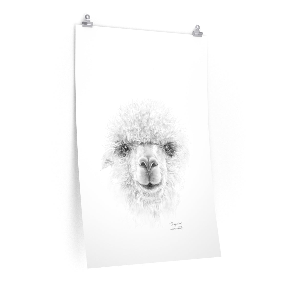BENJAMIN Llama- Art Paper Print