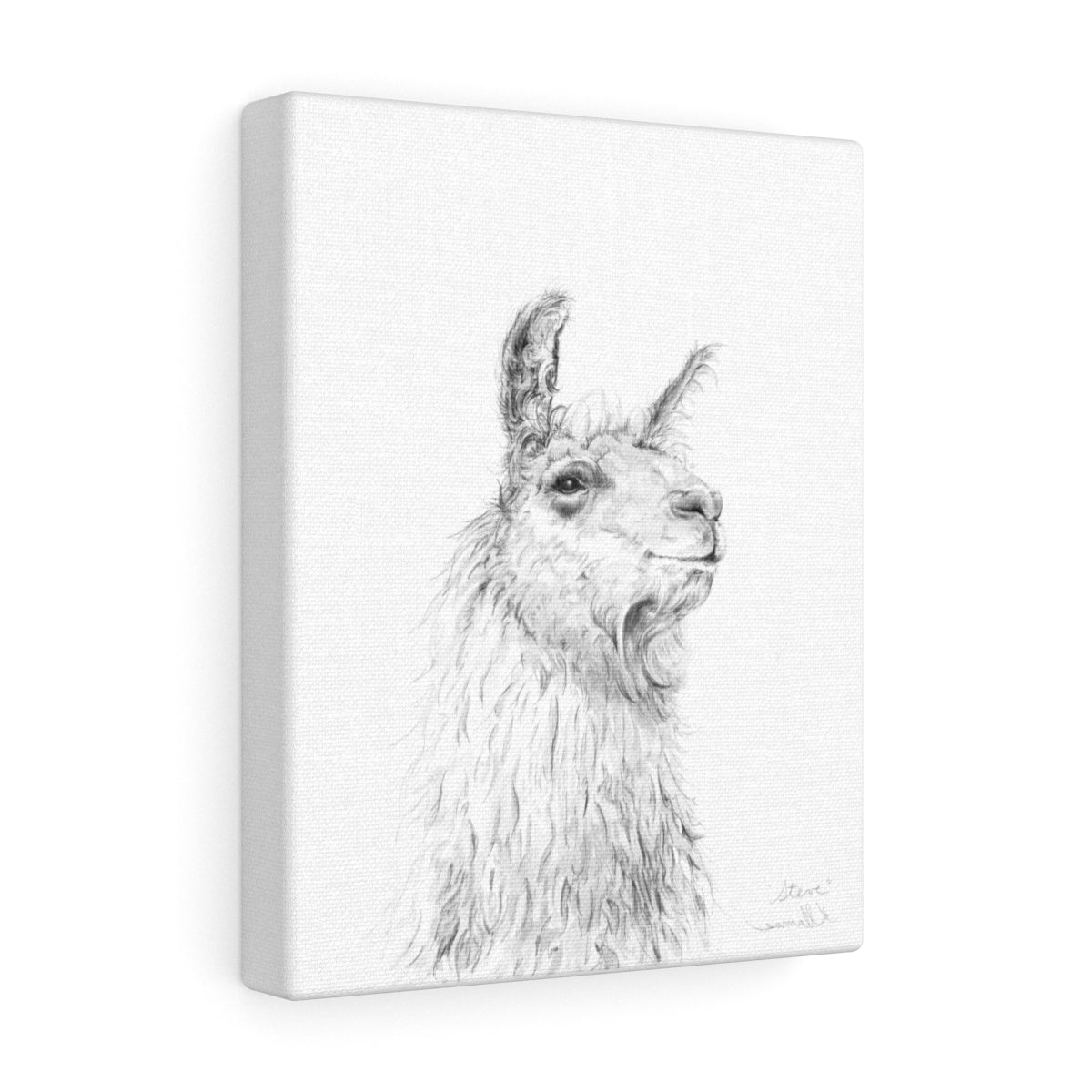 STEVE Llama - Art Canvas