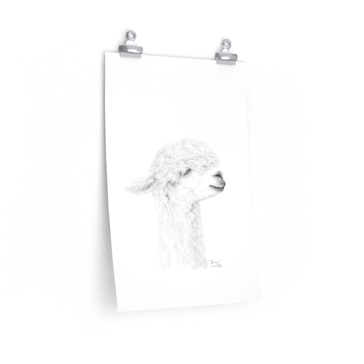 DANICA Llama- Art Paper Print