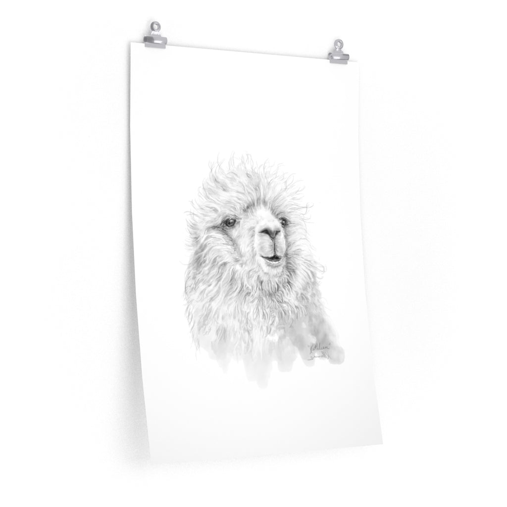 KATHLEEN Llama- Art Paper Print